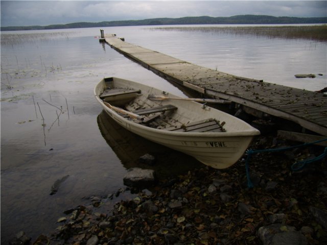 2cfefd9c2456.jpg