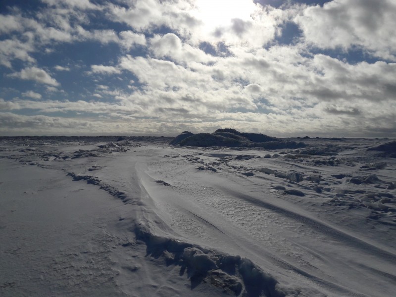 20190302_134405.jpg