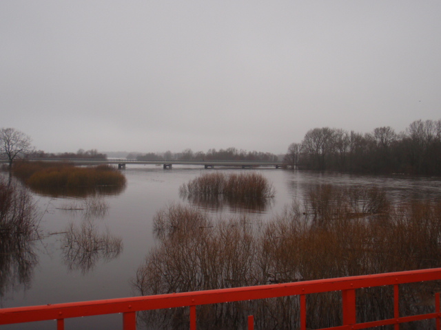 t 016.jpg