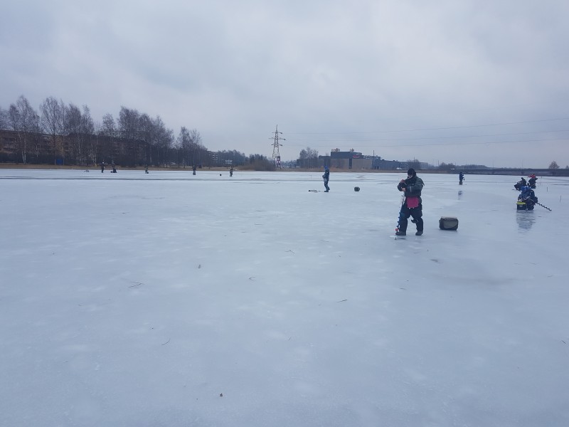 20190316_105725.jpg