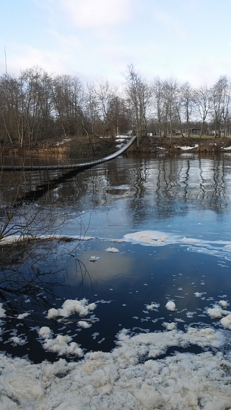20190320_082947.jpg