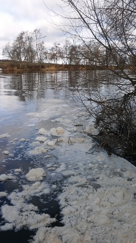 20190320_083010.jpg
