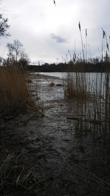 20190320_124240.jpg