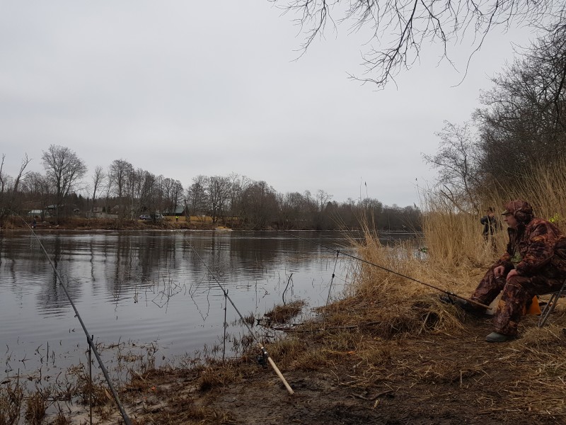 20190330_083951.jpg