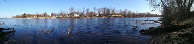 IMG_20190404_145352.jpg