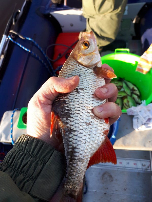 20190405_082045.jpg