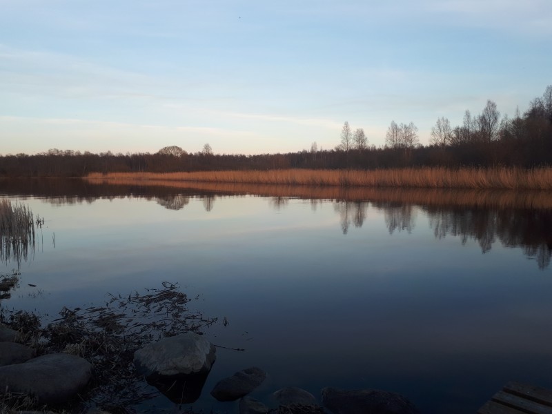 20190405_192531.jpg
