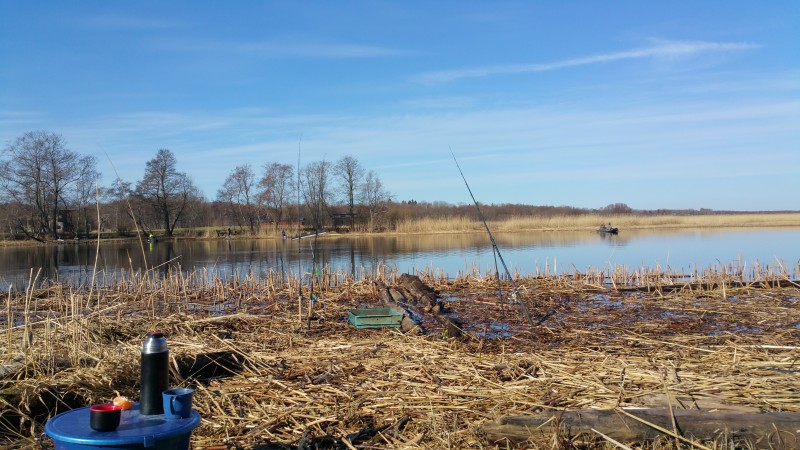 20190406_103203.jpg