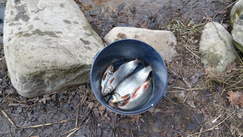 20190407_173339.jpg