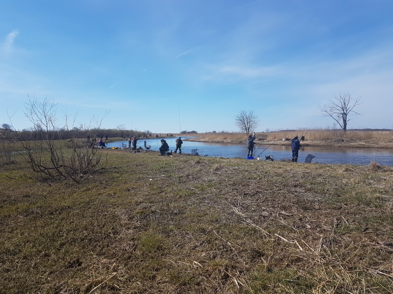 20190419_140717.jpg