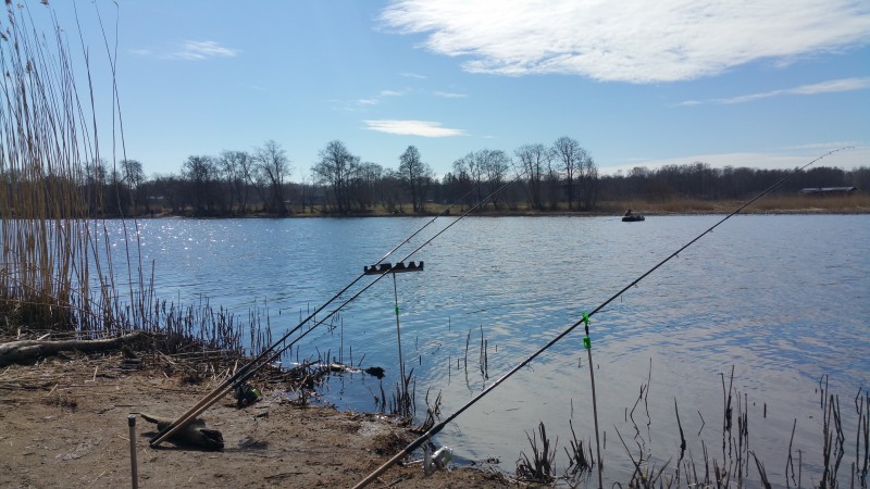 20190420_140302.jpg