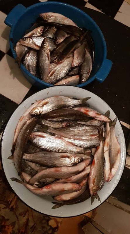 Улов супруги))
