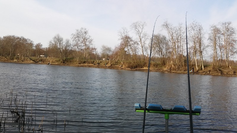20190422_080421.jpg