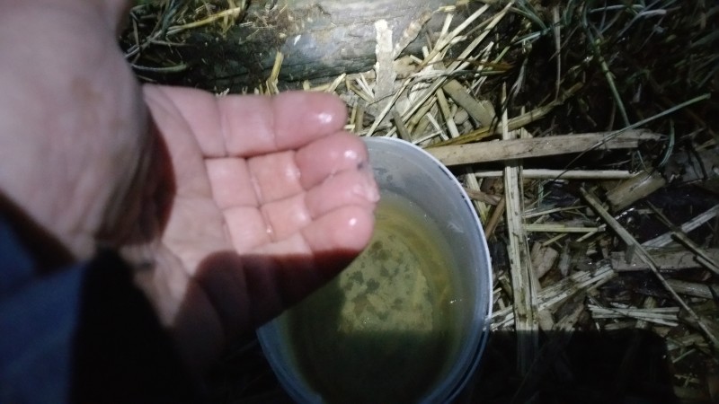 20190422_045402.jpg
