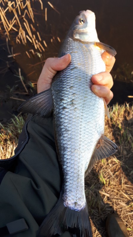 20190424_104123.jpg