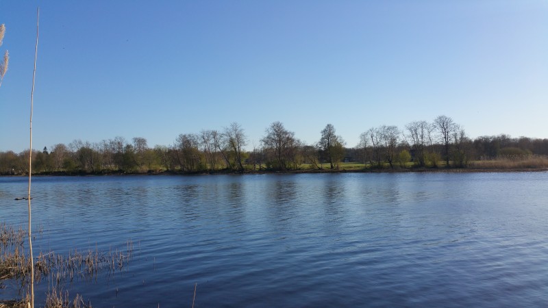 20190428_185417.jpg