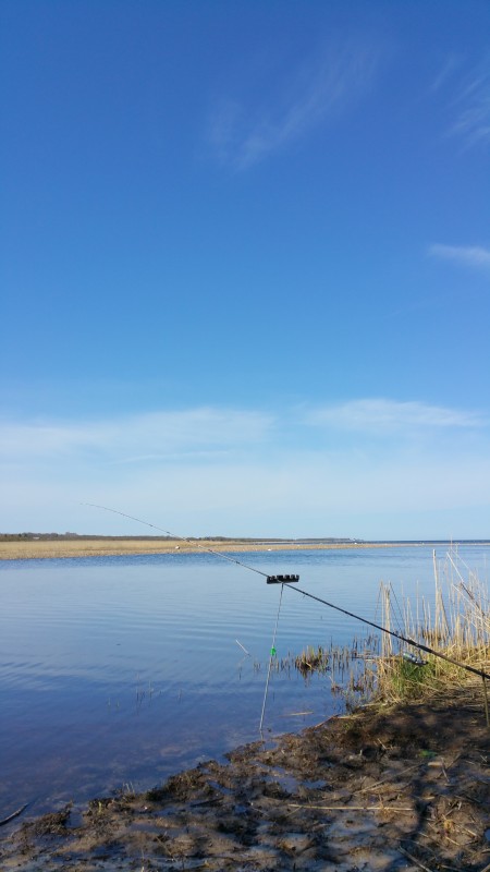 20190509_123528.jpg