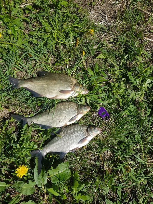 20190518_132215.jpg