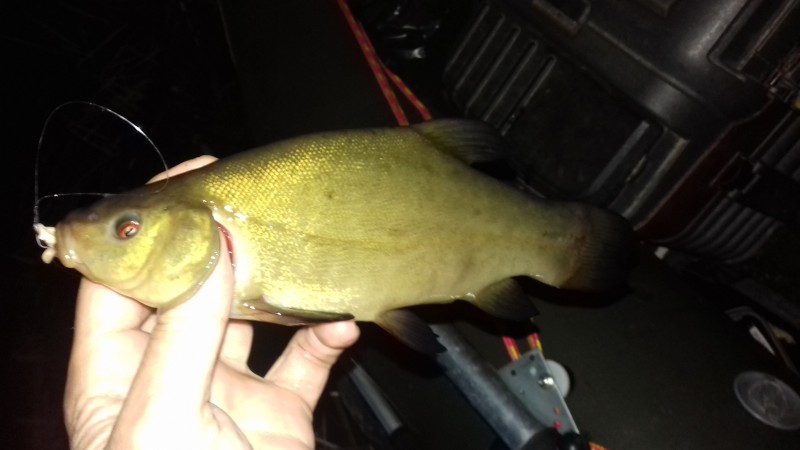 20190518_224850.jpg