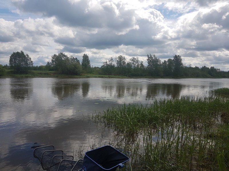 20190526_112759.jpg