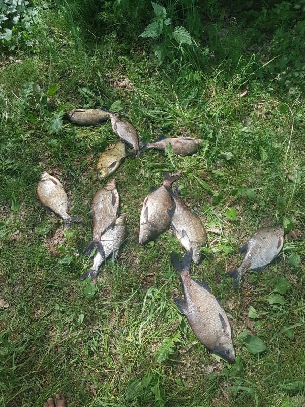 20190608_133216.jpg