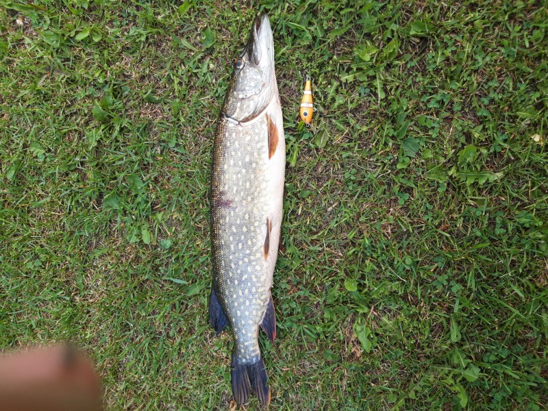 20190611_094135.jpg