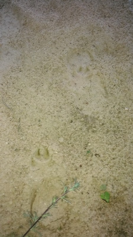 20190610_034251.jpg