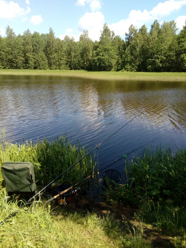IMG_20190615_133315.jpg