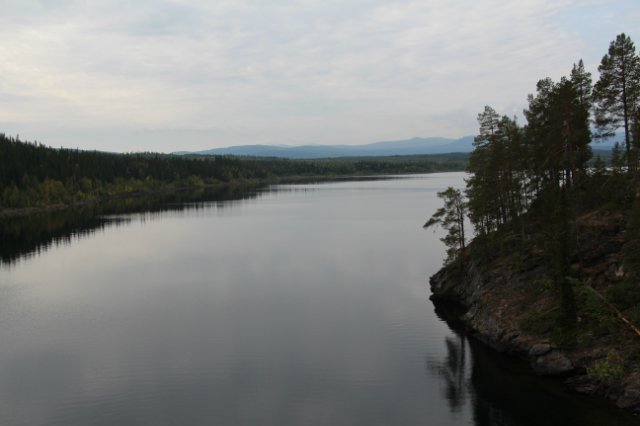 6ce081df618d.jpg