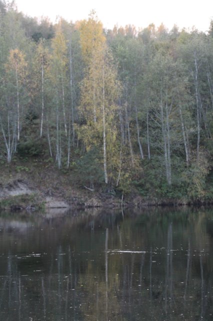 f3e80427c708.jpg