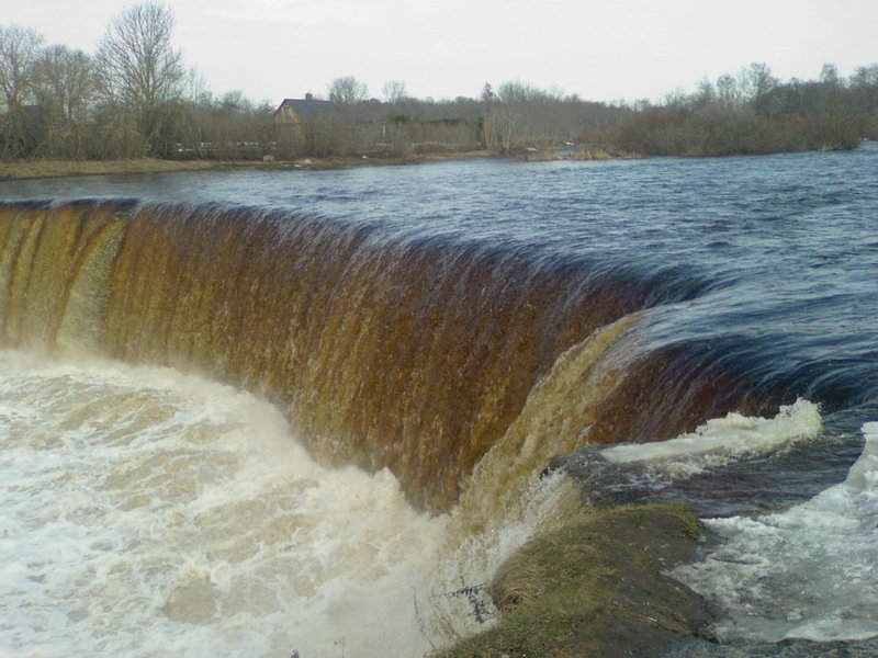 Photo-0006.jpg