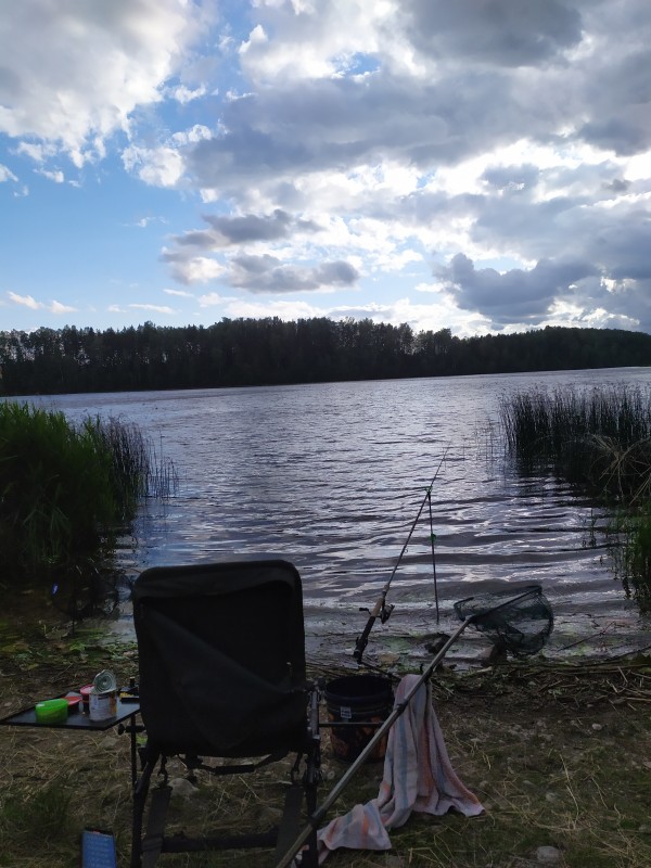 IMG_20190701_191948.jpg