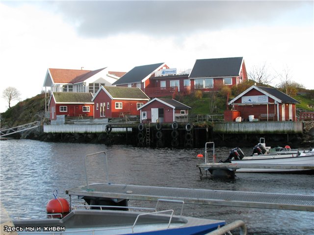 d0da14589849.jpg