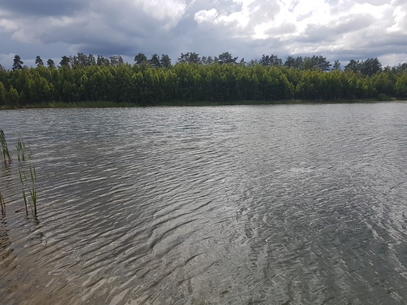 20190707_144141.jpg