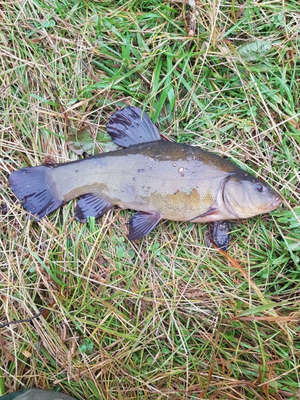 20190706_073727.jpg