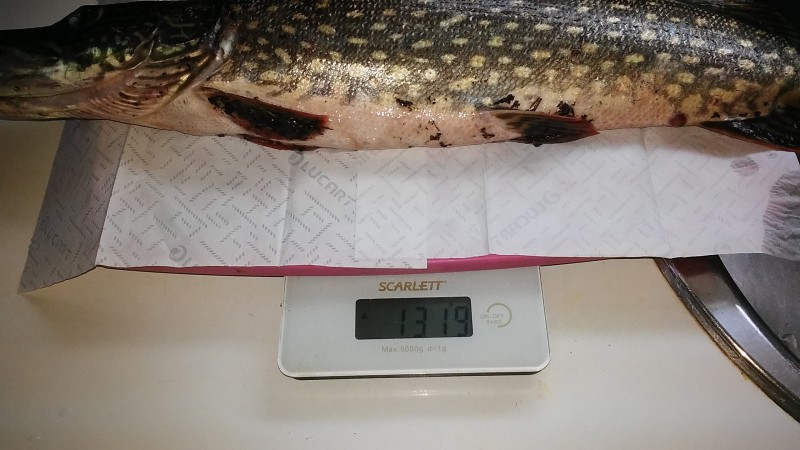 20190917_175134.jpg