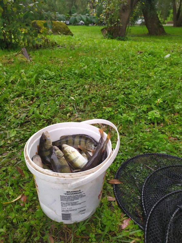 IMG_20190921_151750.jpg