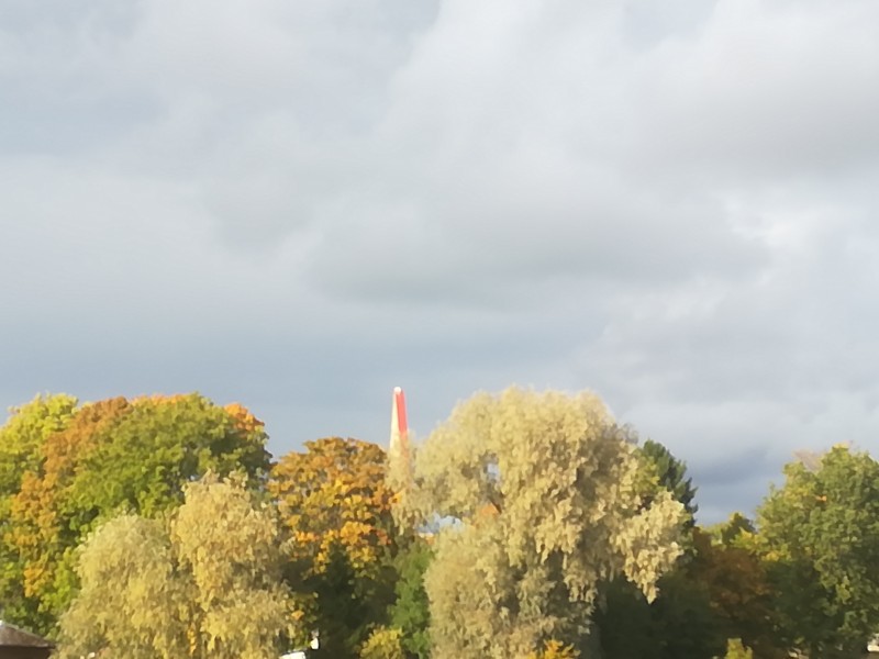 IMG_20190930_161531.jpg