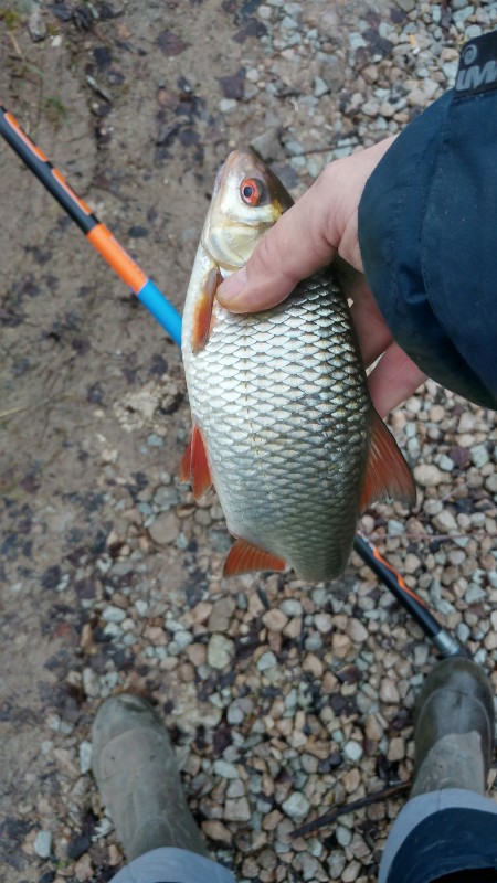 20191221_132003_HDR.jpg