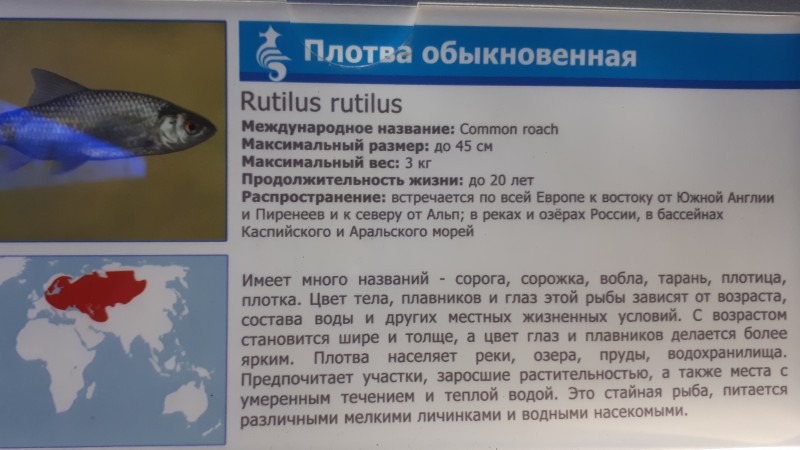 20191224_170524.jpg