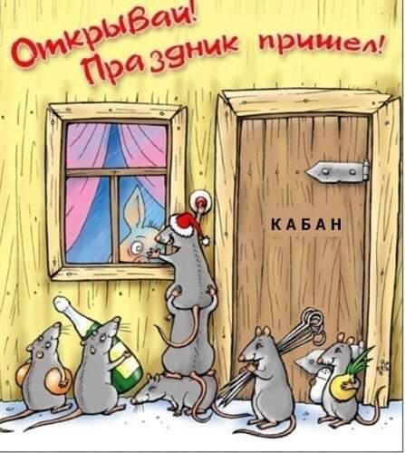 FB_IMG_1577807476845.jpg