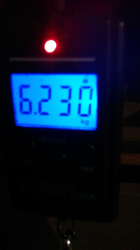 20200312_113100.jpg
