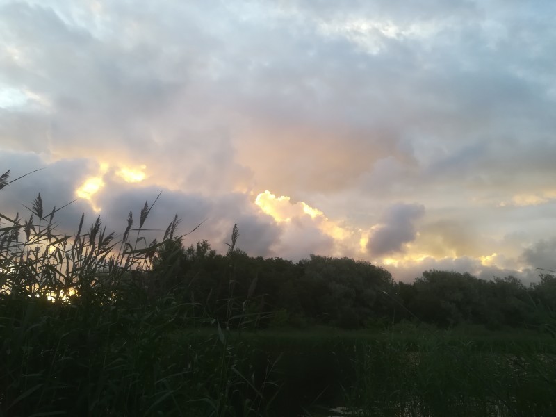 IMG_20200722_051040.jpg