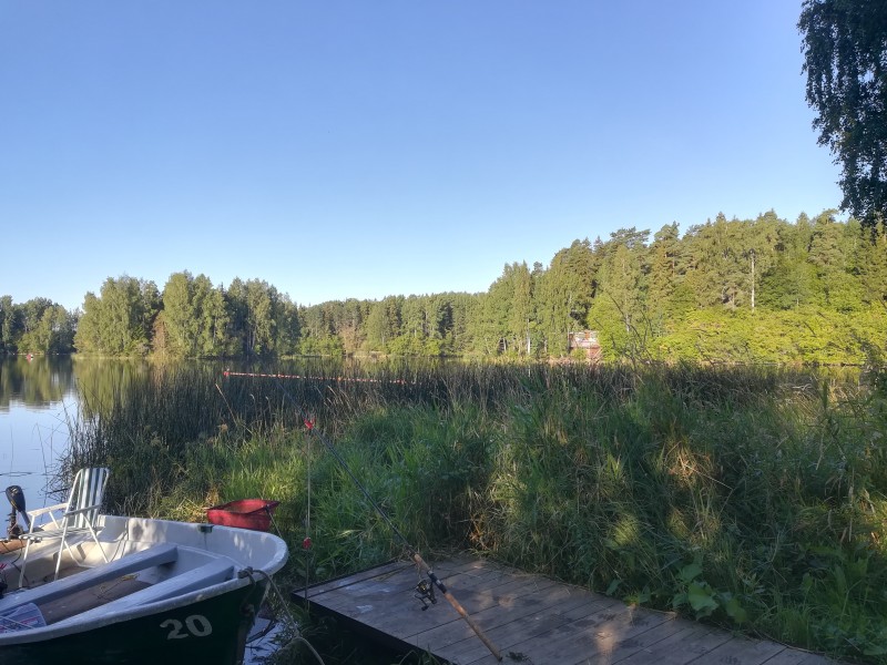 IMG_20200820_080347.jpg