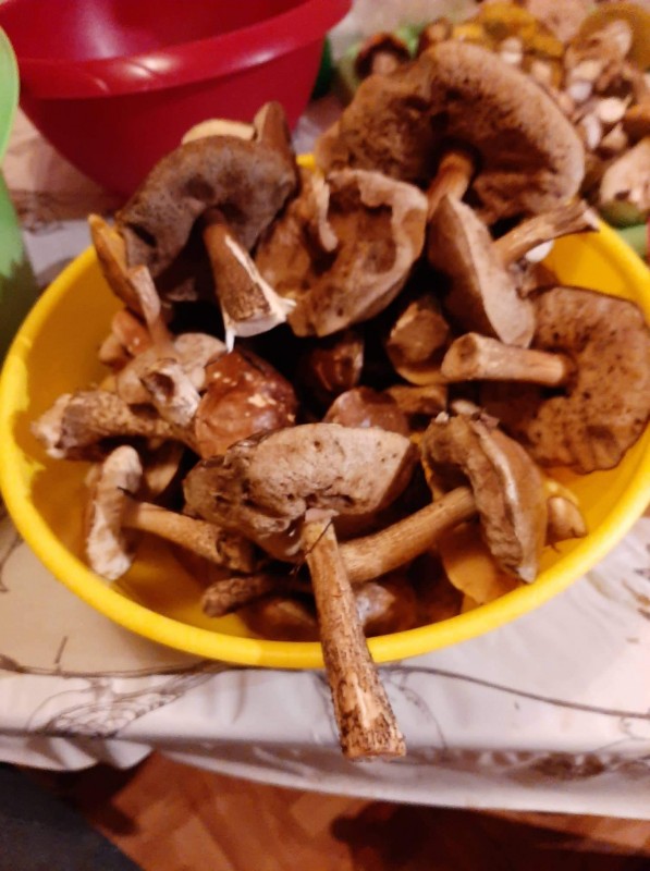 received_3297076557050977.jpeg