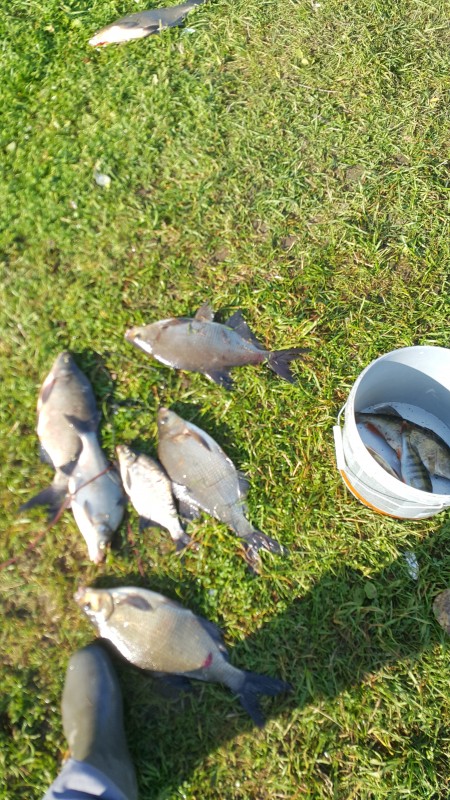 20200923_103231.jpg