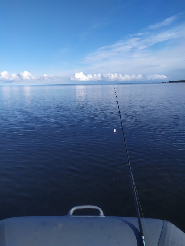 IMG_20201011_104935.jpg