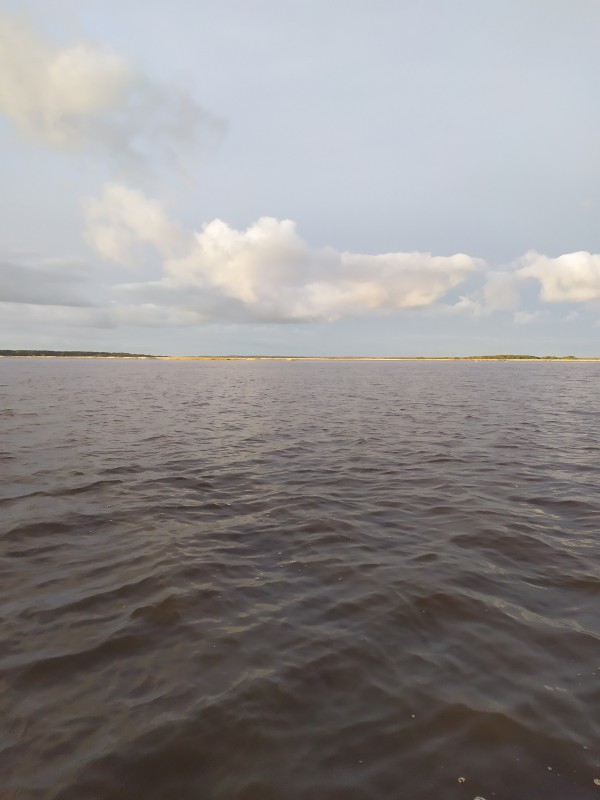 IMG_20201121_093330.jpg