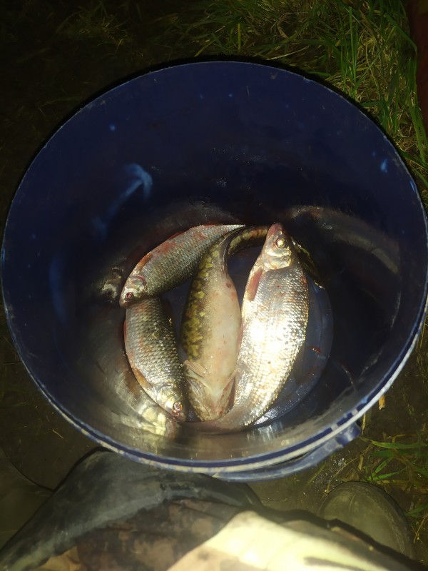 IMG_20201128_221710.jpg