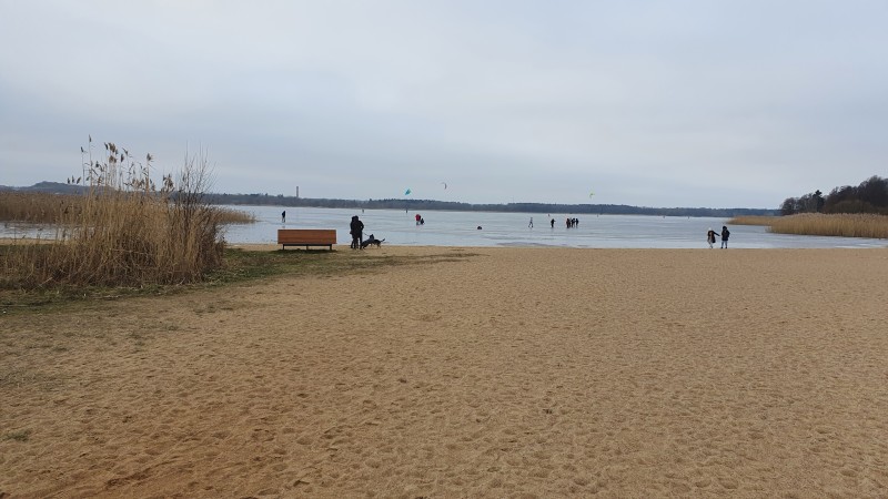 20201212_125228.jpg